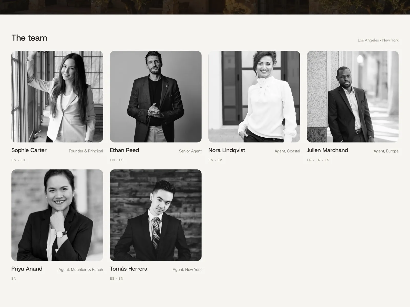 Agents · the team